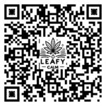 Lab Test CBD Oil 5%